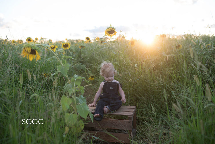 Colorful lightroom presets