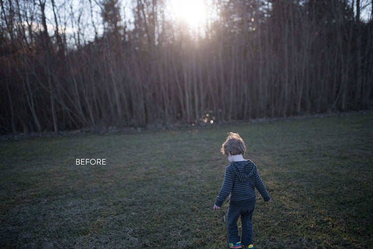 The Lightroom Lush editing training