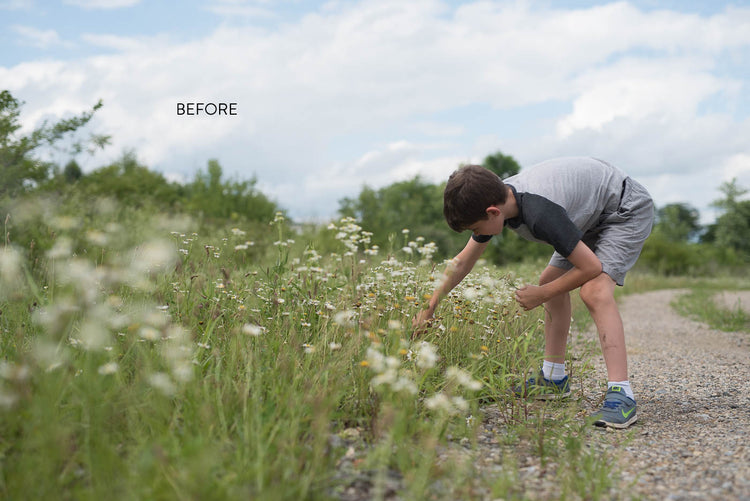 The Lightroom Lush editing training