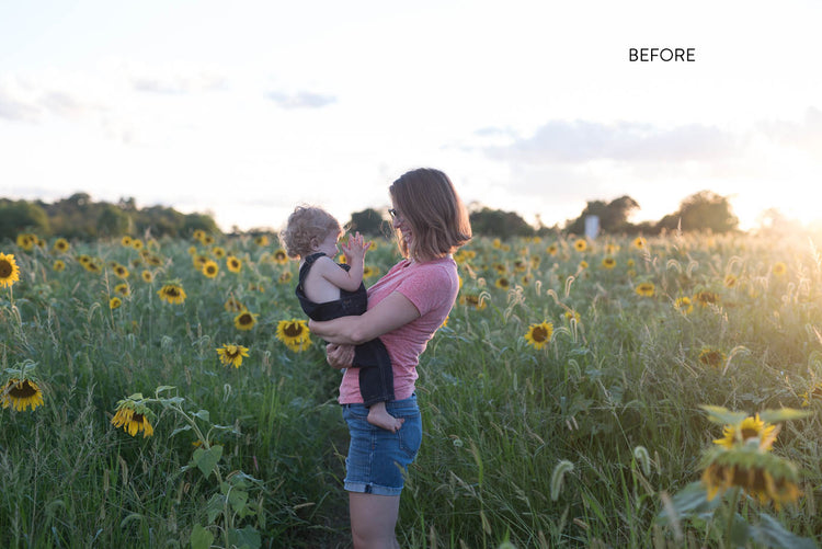 The Lightroom Lush editing training