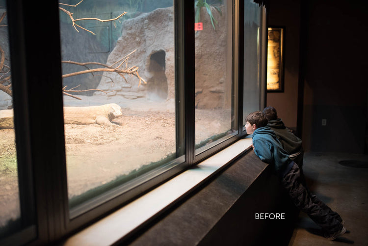 The Lightroom Lush editing training