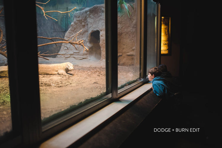 The Lightroom Lush editing training