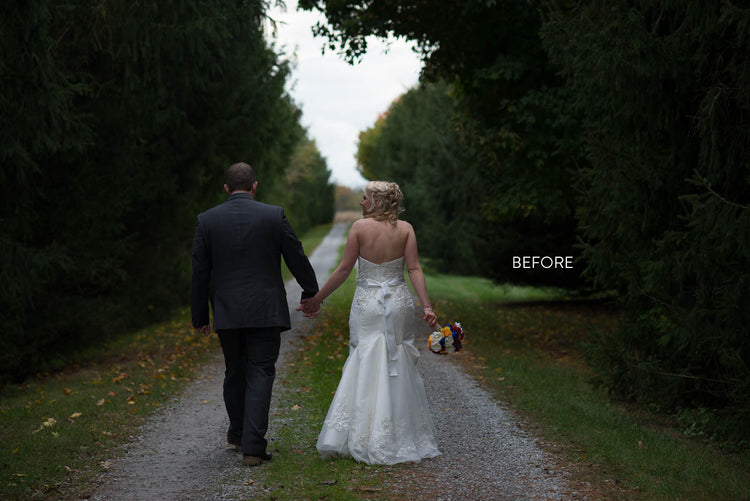 The Lightroom Lush editing training