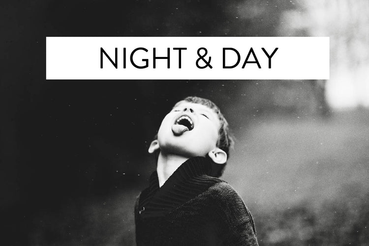 Best Lightroom Presets