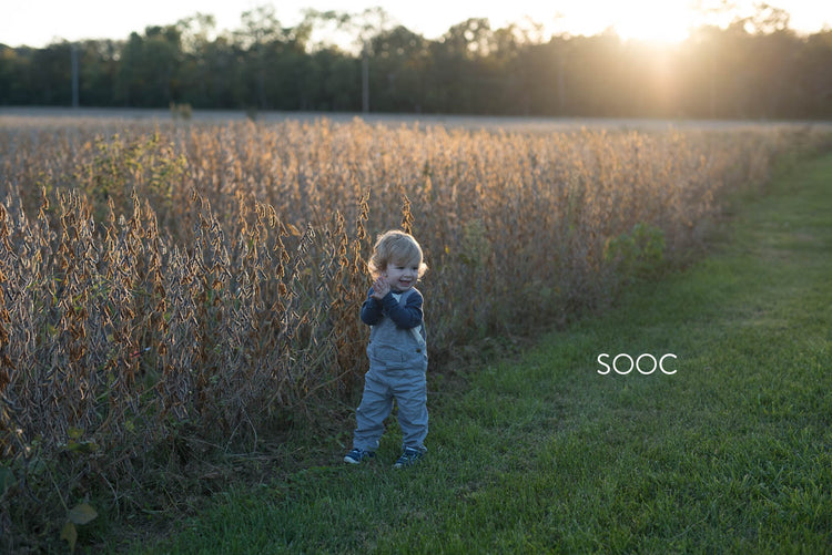 Colorful lightroom presets