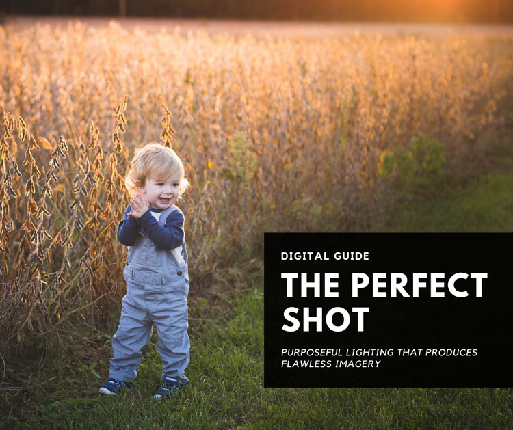 The Perfect Shot Natural Light Guide