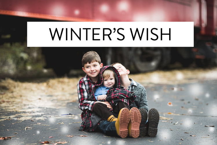 winter Lightroom Presets