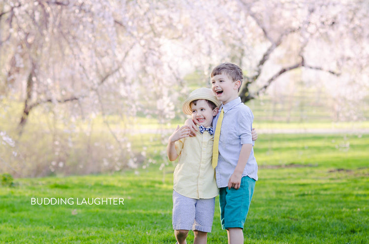 Spring lightroom presets