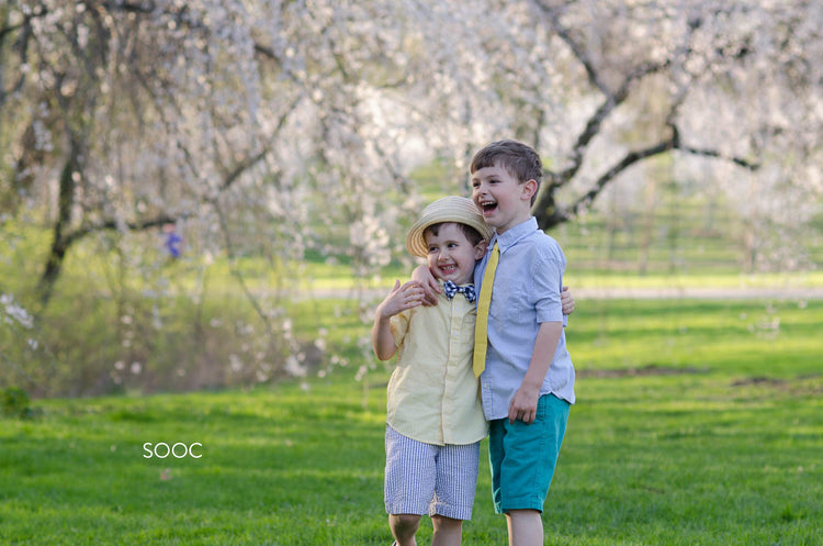 Spring lightroom presets