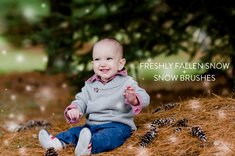 winter Lightroom Presets and snow brush