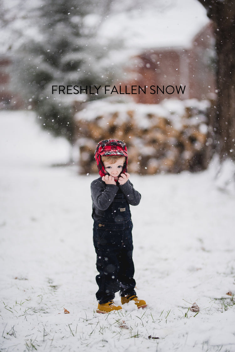 winter Lightroom Presets