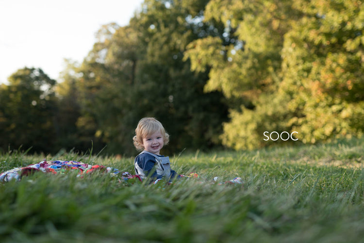 Autumn Lightroom Presets