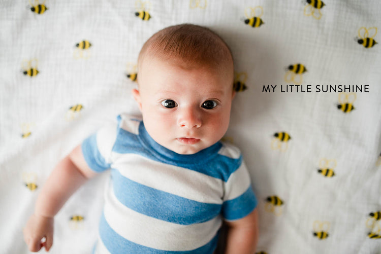 Summer Craze lightroom presets