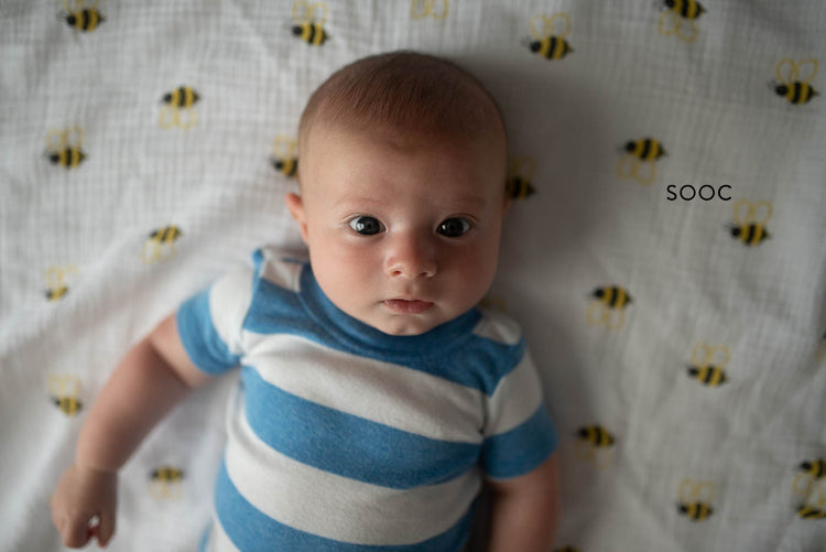 Summer Craze lightroom presets