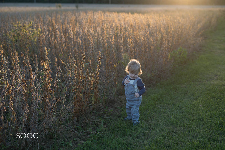 Black & White Lightroom Presets