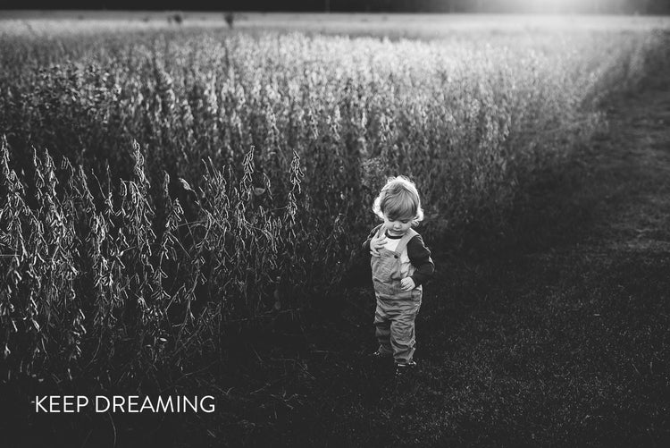 Black & White Lightroom Presets