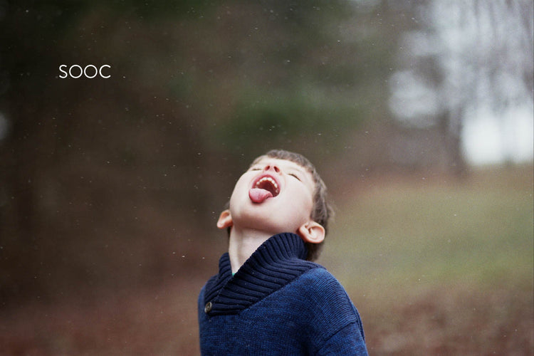 Black & White Lightroom Presets