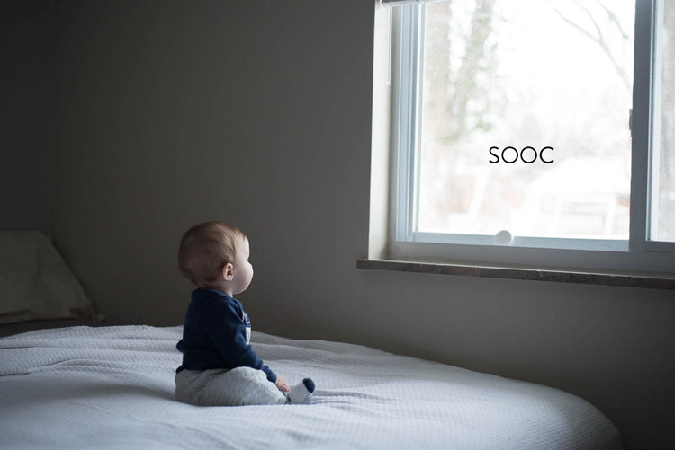 Black & White Lightroom Presets