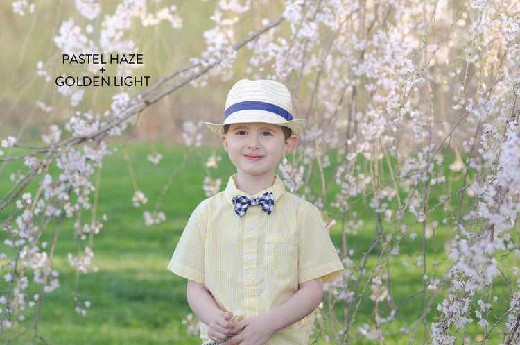 Spring lightroom presets