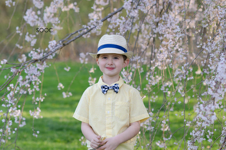 Spring lightroom presets