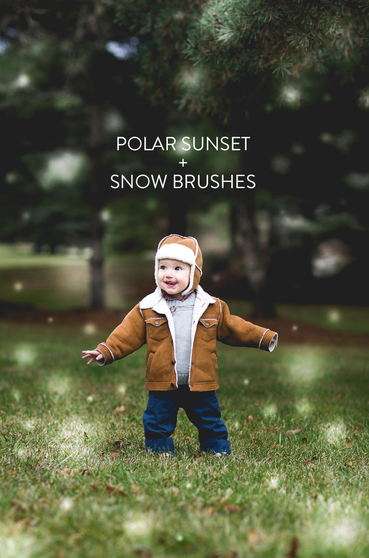 winter Lightroom Presets and snow brush