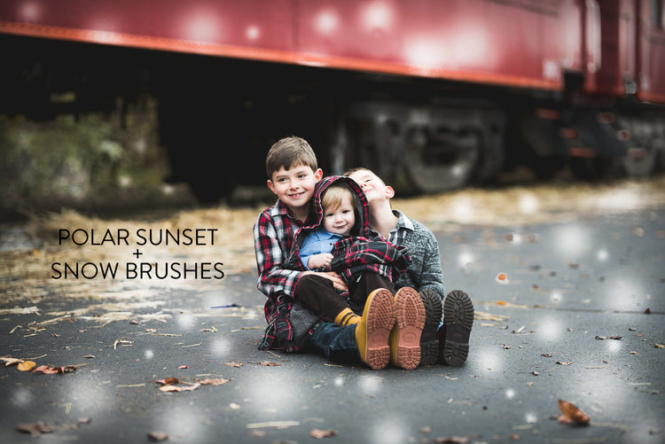 winter Lightroom Presets and snow brush