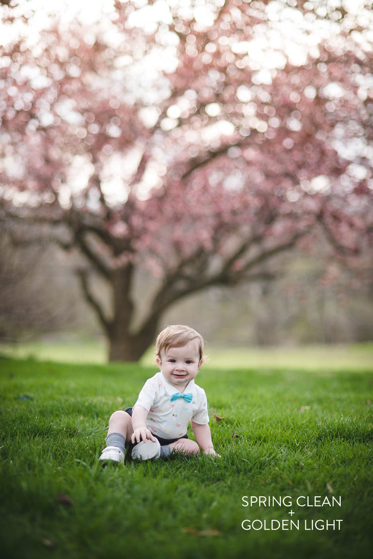 Spring lightroom presets