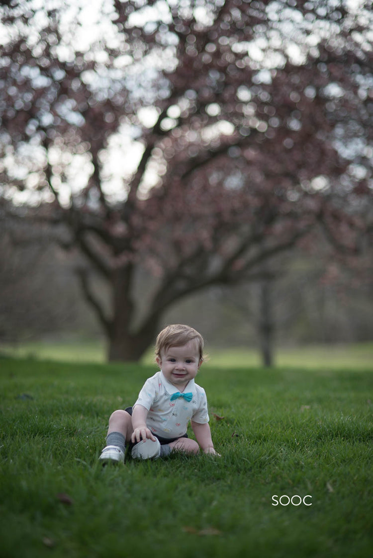 Spring lightroom presets