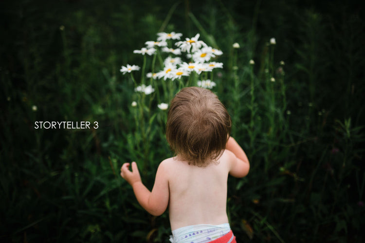 Storyteller lightroom presets