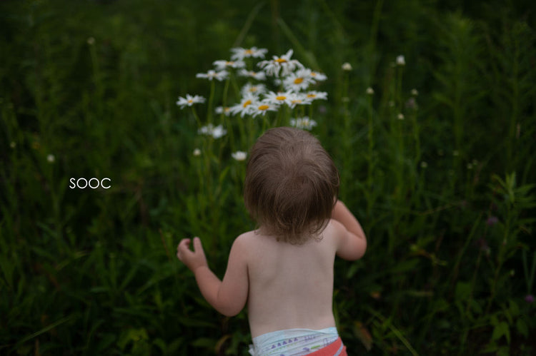 Storyteller lightroom presets