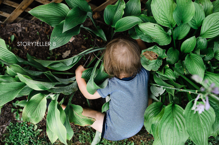 Storyteller lightroom presets