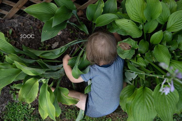 Storyteller lightroom presets