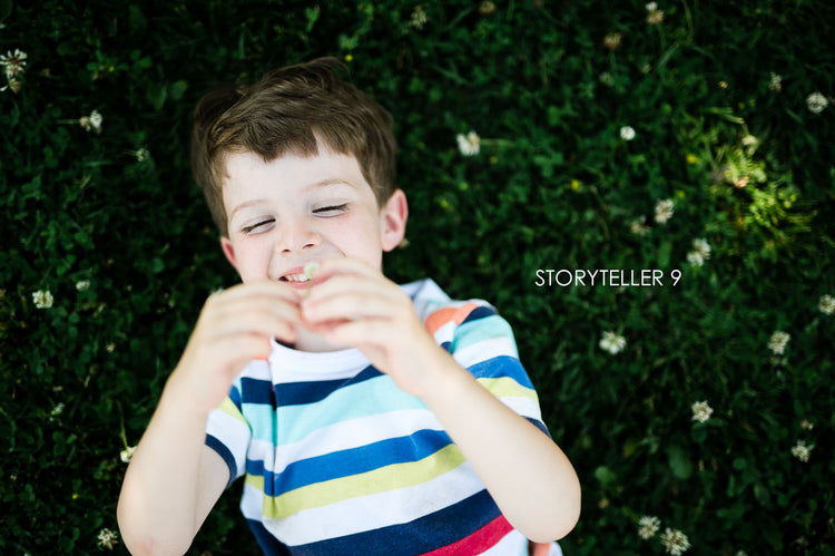 Storyteller lightroom presets