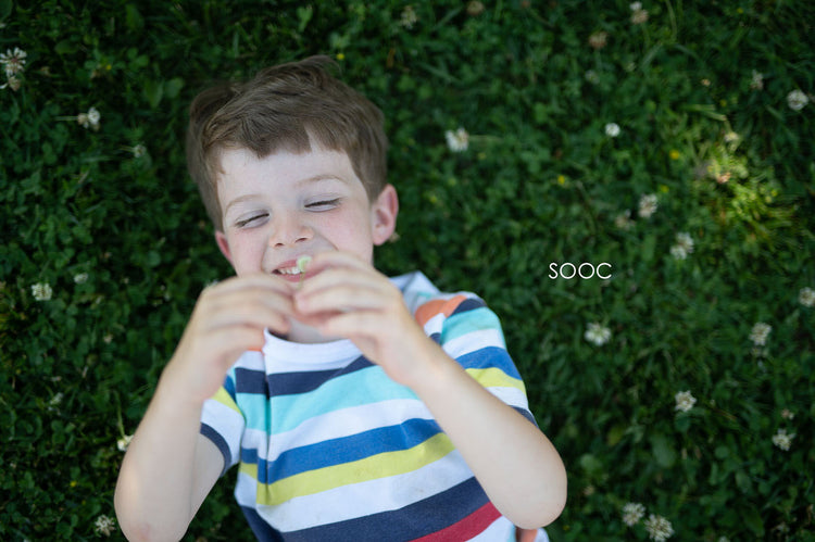 Storyteller lightroom presets