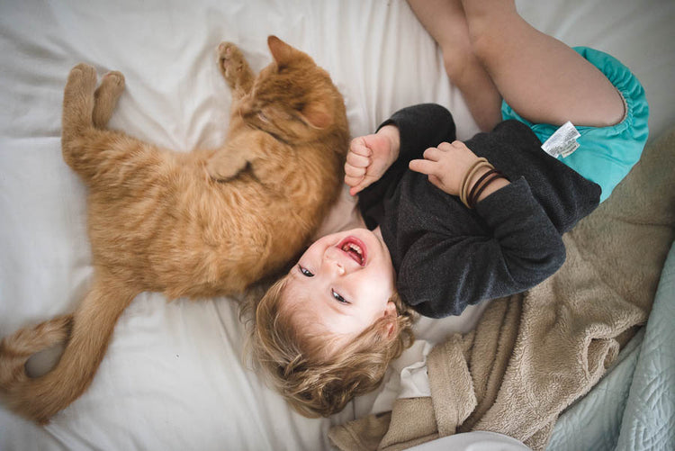 Purely Polished Workflow Bundle