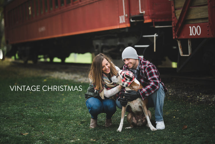 winter Lightroom Presets