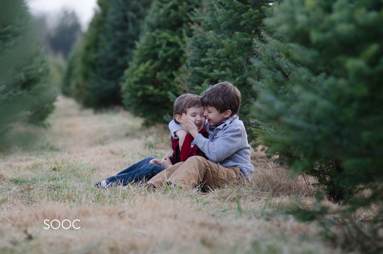 winter Lightroom Presets