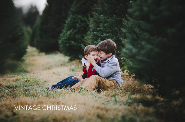 winter Lightroom Presets