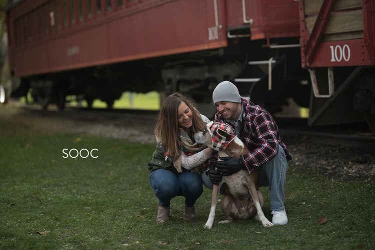 winter Lightroom Presets